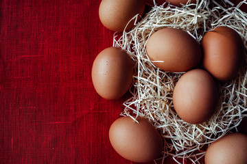 easter chicken brown eggs