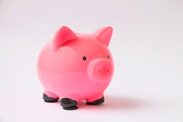 Pink Pig Money Box Saving Money