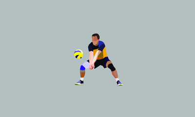 Fototapeta na wymiar libero volleyball polygonal vector. Polygonal abstract concept