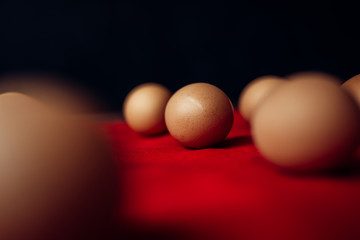 easter chicken brown eggs