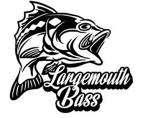 Illustration of a bass with fins, tail and open mouth