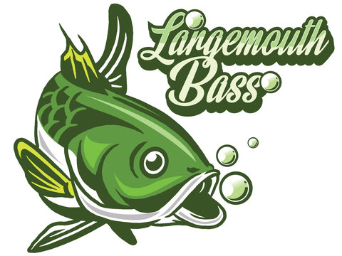 Illustration of a bass with fins, tail and open mouth