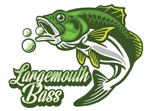 Illustration of a bass with fins, tail and open mouth