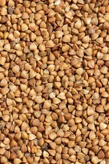 Solid background of fried buckwheat