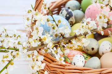 Basket with Easter eggs and cherry blossom branch.