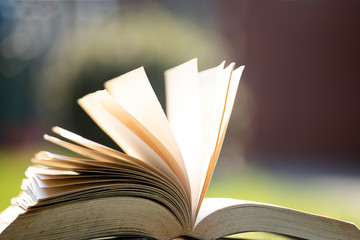 Open book in green grass.