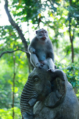 Monkey sitting on an elephant statue in lush forest