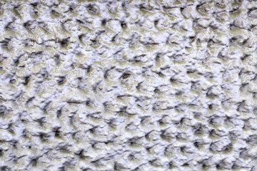 Part of concrete wall