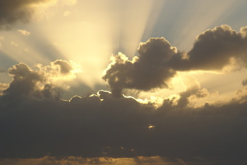 SONY DSC