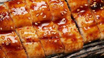 Grilled unagi eel with sauce 