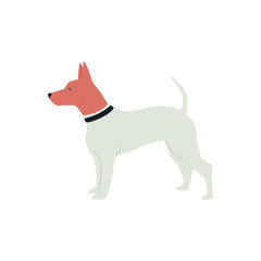 Funny Dog Flat vector illustration on white background