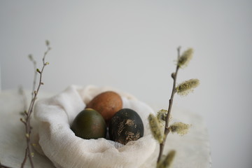 Easter composition with colored eggs and branches of trees and willow