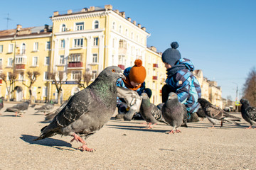 Two boys are happily feeding seeds to pigeons in the square.