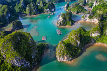Aerial view Vung Vieng floating fishing village and rock island, Halong Bay, Vietnam, Southeast Asia. UNESCO World Heritage Site. Junk boat cruise to Ha Long Bay. Famous destination of Vietnam © Hien Phung
