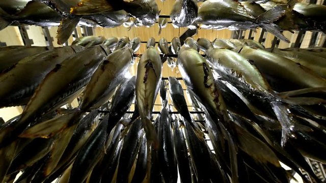fish hang smoked factory rack row prepared