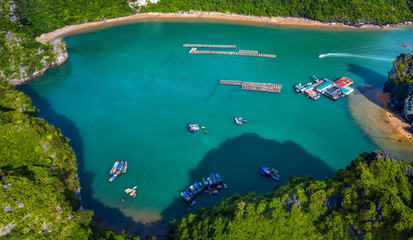 Aerial view Vung Vieng floating fishing village and rock island, Halong Bay, Vietnam, Southeast Asia. UNESCO World Heritage Site. Junk boat cruise to Ha Long Bay. Famous destination of Vietnam © Hien Phung