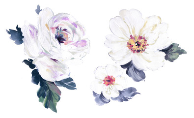 Flowers watercolor illustration.Manual composition.Big Set watercolor elements.