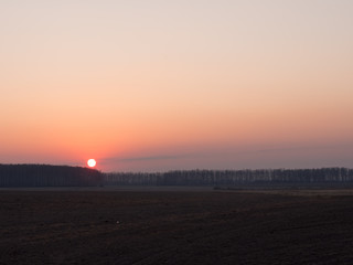 the red sun rises from the forest at dawn