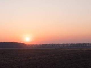the red sun rises from the forest at dawn