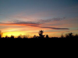 sunset over the field