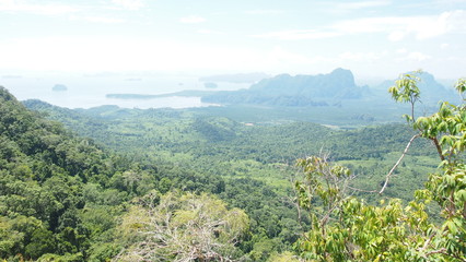 mountain landscape with trees