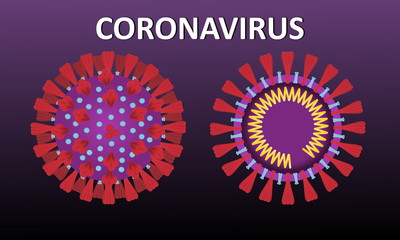 Microscopic and diagram of coronavirus or covid-19 concept design on dark background.
