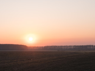 the red sun rises from the forest at dawn