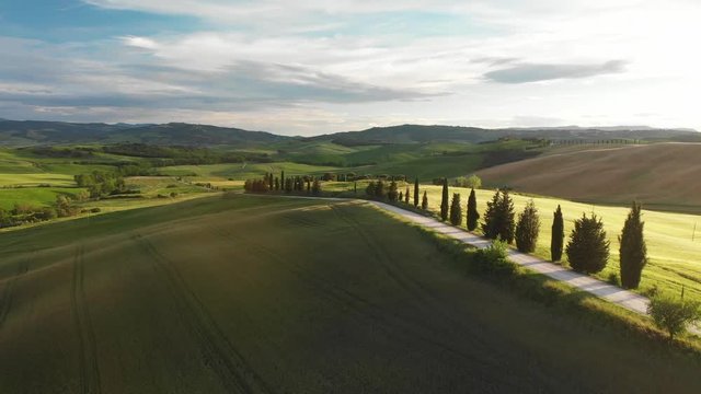Aerial video in an amazing green landscape, with drone, above farm in a beautiful day.