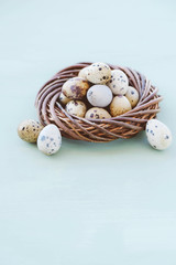Colorful quail eggs in bird nest on light blue background.