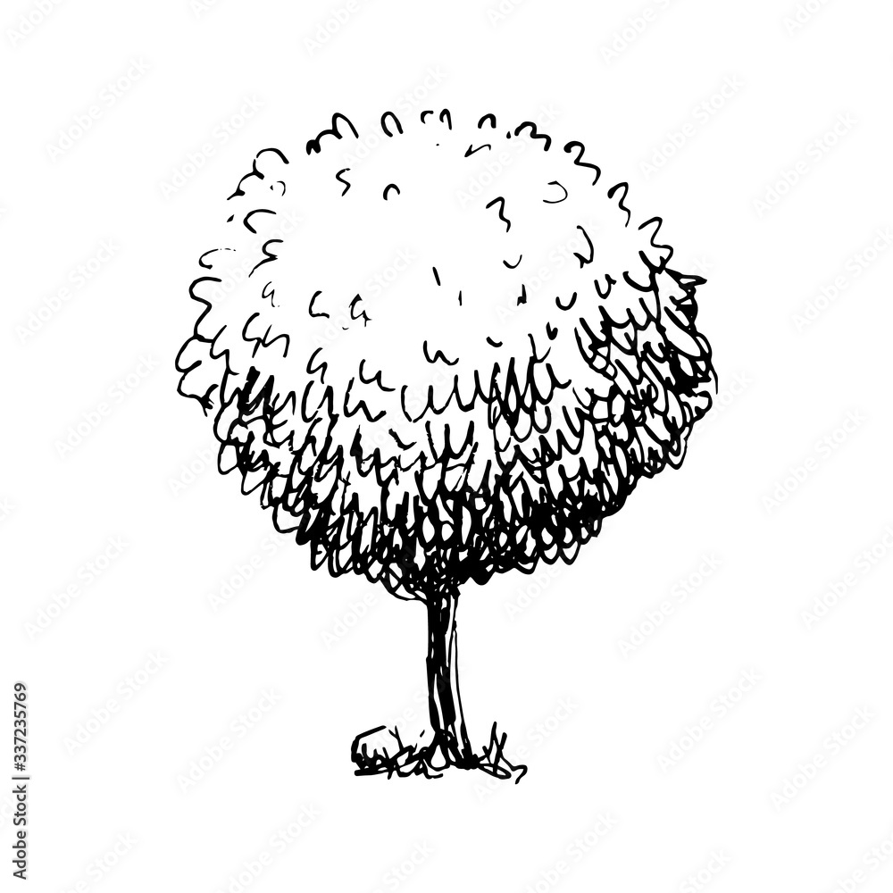 Sticker hand drawn tree. sketch style. decoration element. isolated on white background. vector illustration