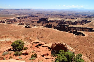 Canyonlands: crater of stone monuments and pillars