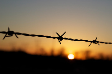 Close-up Of Silhouette Barbed Wire Against Sky At Sunset - obrazy, fototapety, plakaty