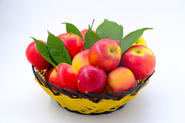 New Zealand apple on wooden background