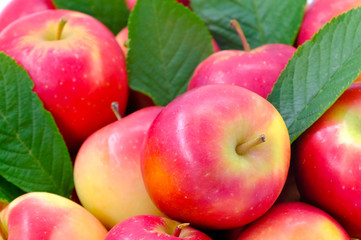 New Zealand apple on wooden background