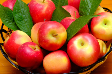 New Zealand apple on wooden background