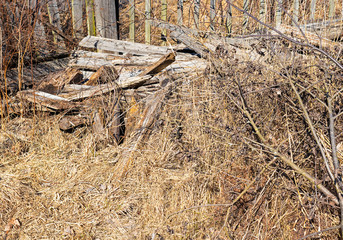 old dry trash in the garden. the concept of a fire hazard