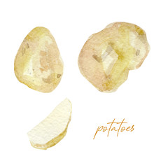 Hand painted vegetable potatoes. Watercolor vegeterian food  for design menu, veggie blog, the web page design cookbook.
