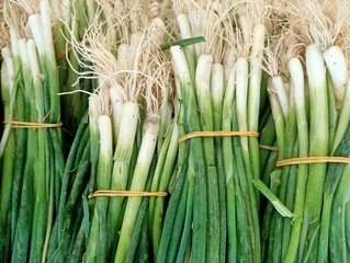 Bunches of green onions on a market counter