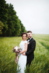 Smiling newlyweds posing in nature. The bride and groom stand in a wheat field. The man gently hugs...