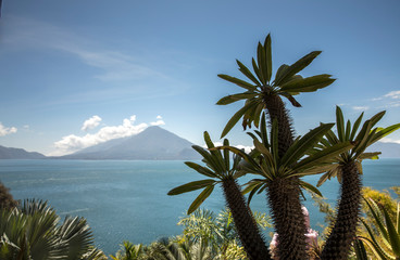 Fototapeta na wymiar view over lake Atitlan