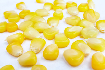 Corn seeds isolated on white.
