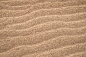 Fototapeta na wymiar Closeup sand on the beach using as background