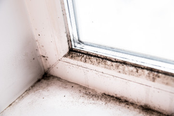 mold in the corner of the window.