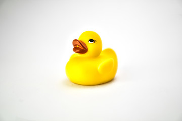 The yellow duck for bath on the white background. Half-side view