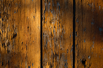 Obraz premium Drewno pomarańcz 