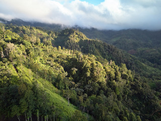 Green mountain landscape