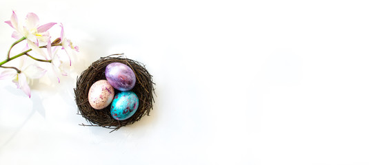 Three painted pearlescent Easter eggs in a bird nest and an orchid flower isolated on white