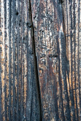 Fototapeta premium Wood texture details, background and texture image. Abstract background