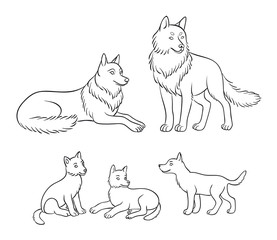 Wolves family - parents and three cubs. Vector illustration in contours.