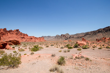 Fototapeta na wymiar The Valley of Fire State Park is a reserved a few miles from Las Vegas.